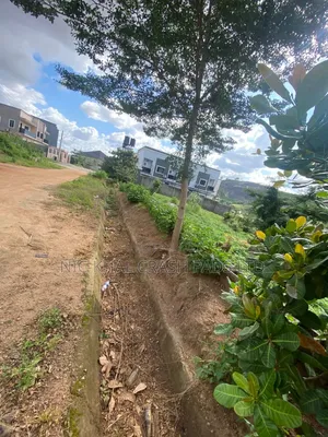 FCDA Filin Zama Don Siyawa a Dawaki