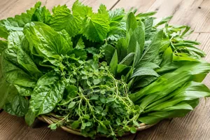 Herbal Medication for Various Ailments