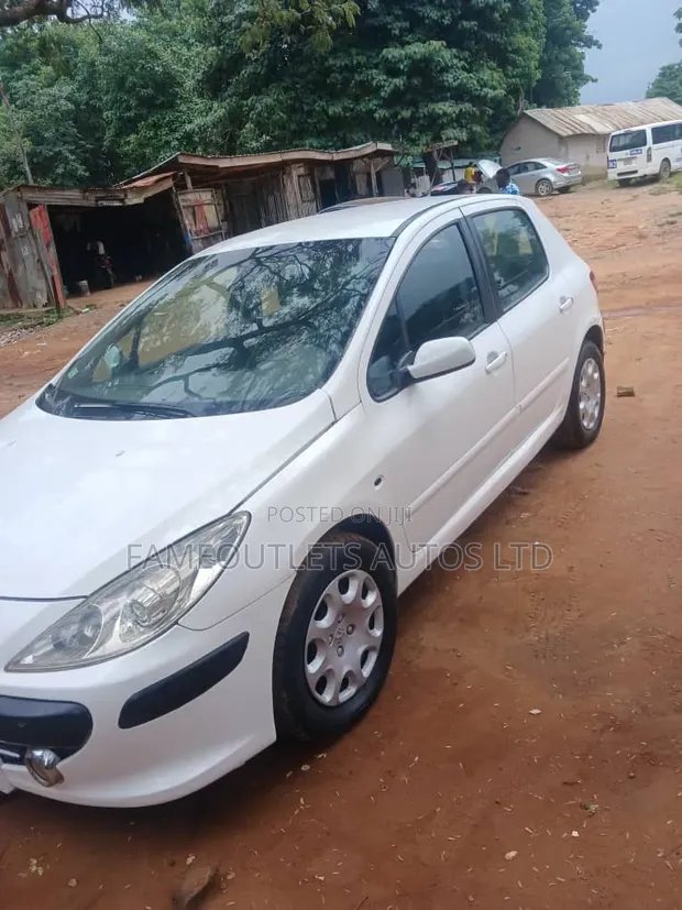 Peugeot 307 2007 White - 1