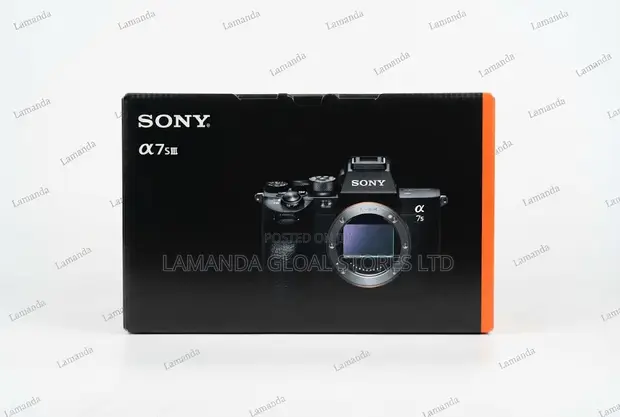 Sony Alpha A7S III Mirrorless Camera - 1