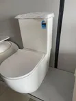 Master White Luxury Toilet Seat - 2