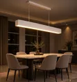 Fitilar Pendant LED Mai Tsarin Alatu don Gidajen Zamani - 2