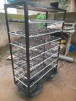 Refrigerators Technician - Repair & Installation Services - 3