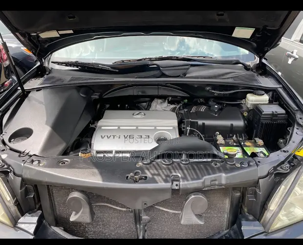 Lexus RX 330 2006 Grey - 1