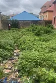 Fenced Half Plot Land for Sale in Igando Estate - 1