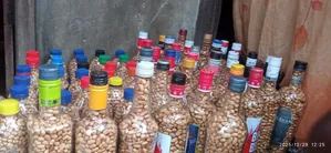 Roasted Groundnut - 750g Pack