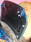 Bonnet na Audi Q5 (2018) - 2