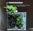 HomeVibe Hub Professional Aquarium Setup & Design - 1
