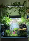HomeVibe Hub Professional Aquarium Setup & Design - 2
