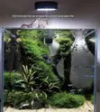 HomeVibe Hub Professional Aquarium Setup & Design - 3