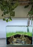 HomeVibe Hub Professional Aquarium Setup & Design - 4