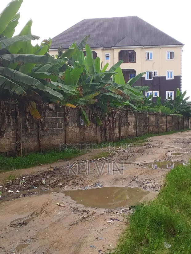 Two Plots of Land with Shops Near Ahia Nkwo Market - 1