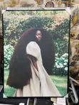 Matte Canvas with Rough Texture - 5ft x 7ft - 5