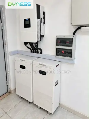 16kWh Dyness Lithium Baturi (Nunin Samfur)