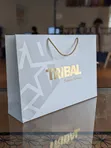 12pcs Quality Fancy Paper Bags - Plain Colors Available - 1