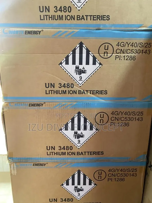 Cworth 2.5kWh 25.6V Lithium Ion Battery - 1
