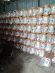 Golden Diamond Water Closet - Brand New - 1