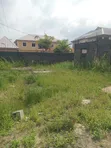 Filin Ƙasa - Ƙarshen Harka, Royal Palmwill Estate, Ajah - 3