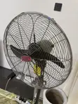 Original OX Fan 20-inch - 2