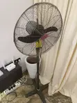 Original OX Fan 20-inch - 3