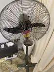 Original OX Fan 20-inch - 4