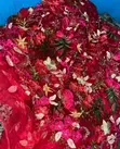 Bale Fabrics - Cotton, Chiffon, Unisex - 2