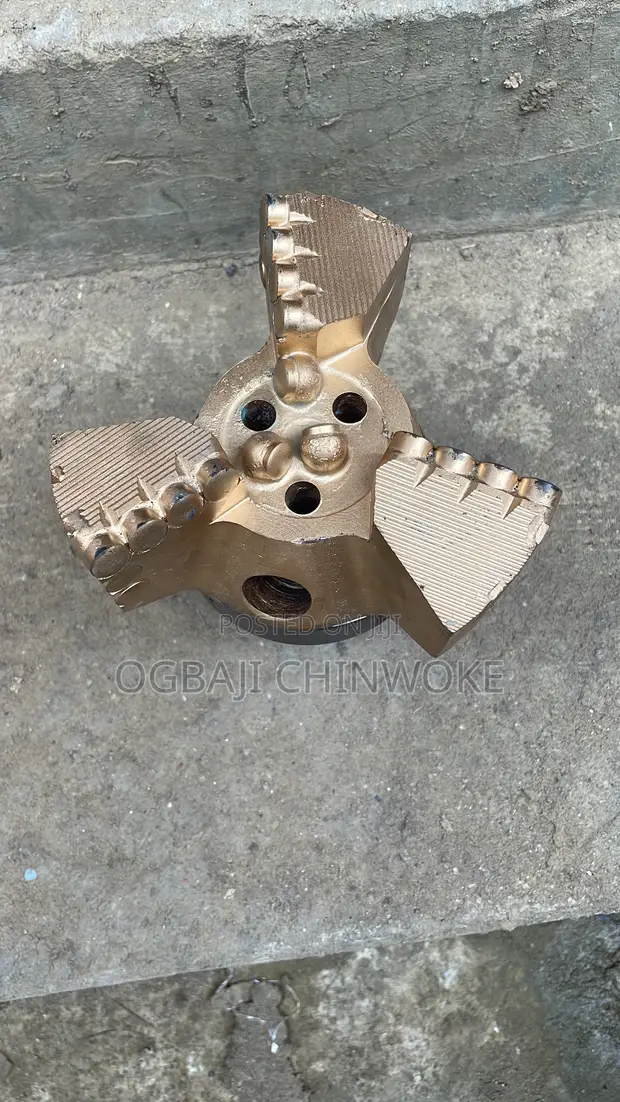 Diamond Bit for Borehole Drilling - 1