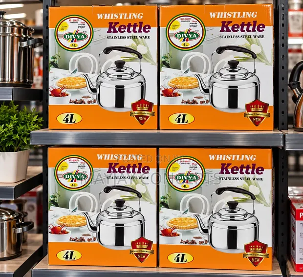 DIVYA 4L Stainless Steel Whistling Kettle - 1