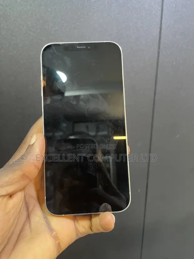 Apple iPhone 12 Pro Max 256GB Silver (UK Used) - 1