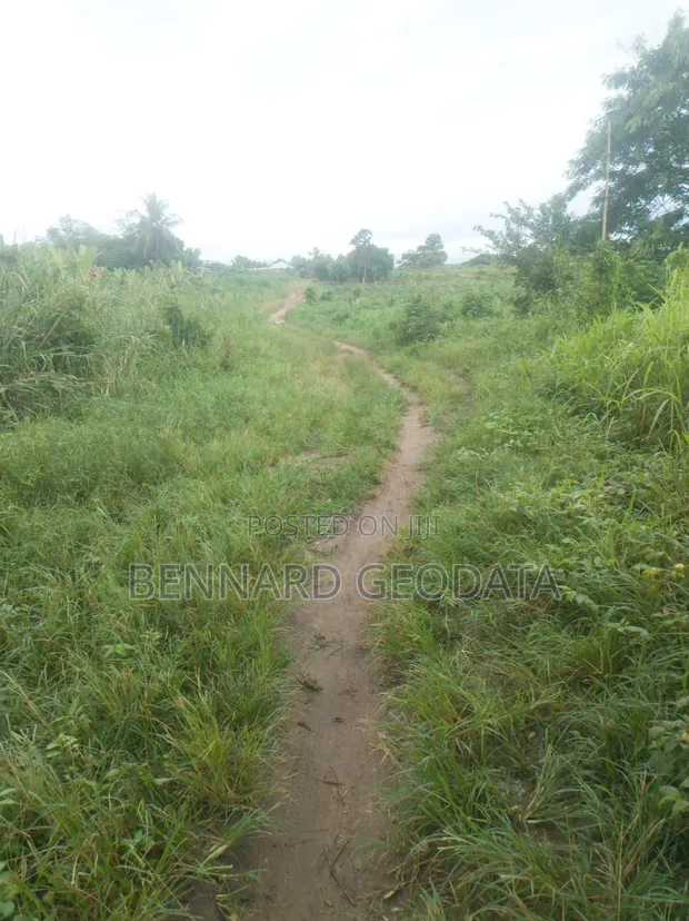 50+ Acres Farmland for Sale, Ogun State - 1