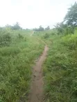 50+ Acres Farmland for Sale, Ogun State - 1