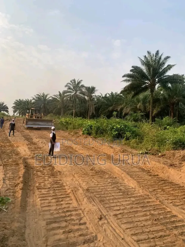 Plots of Land for Sale in Calabar, Cross River State - 1