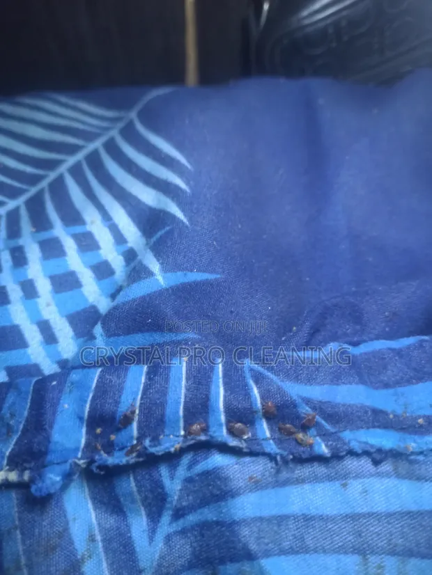 Fumigation da Maganin Kwari - 1