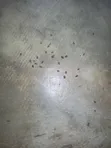 Fumigation da Maganin Kwari - 2