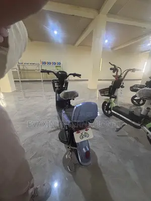 New Evaxin Electric Bike 2024 Blue