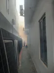 Pest and Rodent Fumigation Control Services - 2