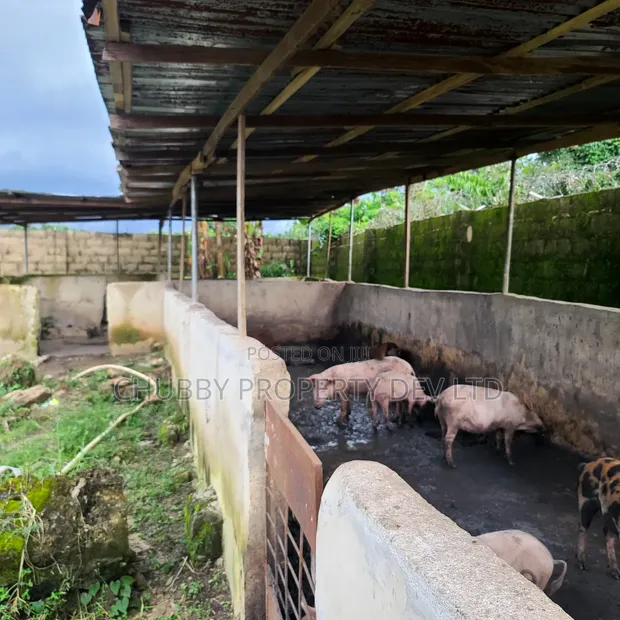 Plots of Land for Livestock Farming in Umuahia - 1