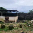 Plots of Land for Livestock Farming in Umuahia - 2