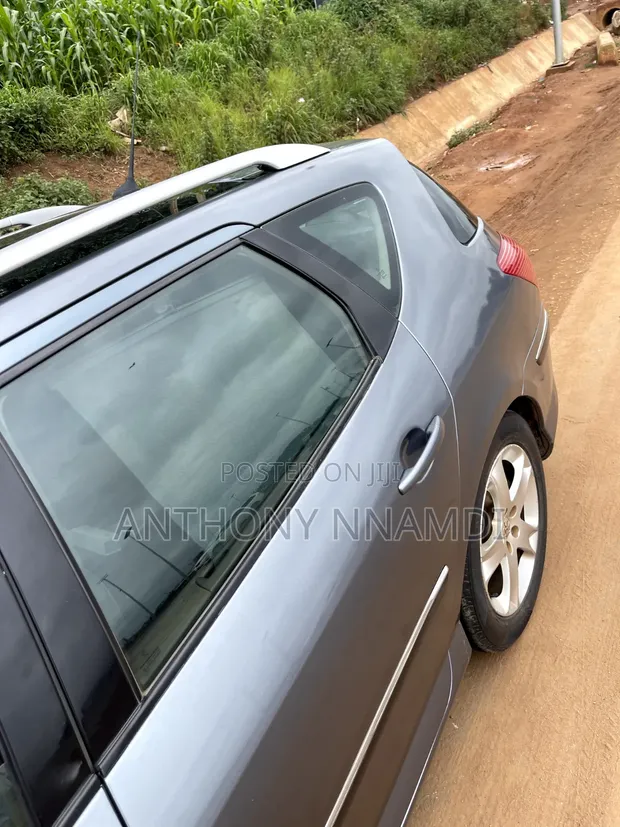 Peugeot 407 2007 Gray - 1