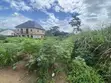 Massive 1 Plot of Land for Sale at Umueze Ibeku, Umuahia - 4