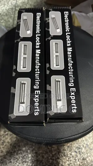 Mag Lock and Bracket