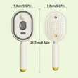 Rechargeable Spray Air Cushion Massage Brush da Nano Mist - 4