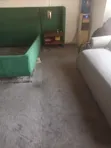 Rug and Sofa Cleaning Services - 2