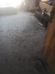 Rug and Sofa Cleaning Services - 3