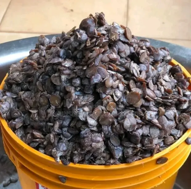Locust Beans (Iru) - 1