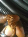 Original 16mm 2 Core DC Cable - 1