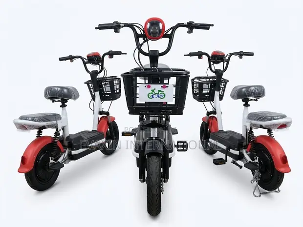 Sabon EVAXIN HAPPY Eletric Bike 2024 Ja - 1