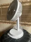 DP Fan Mai Sake Yi - 2
