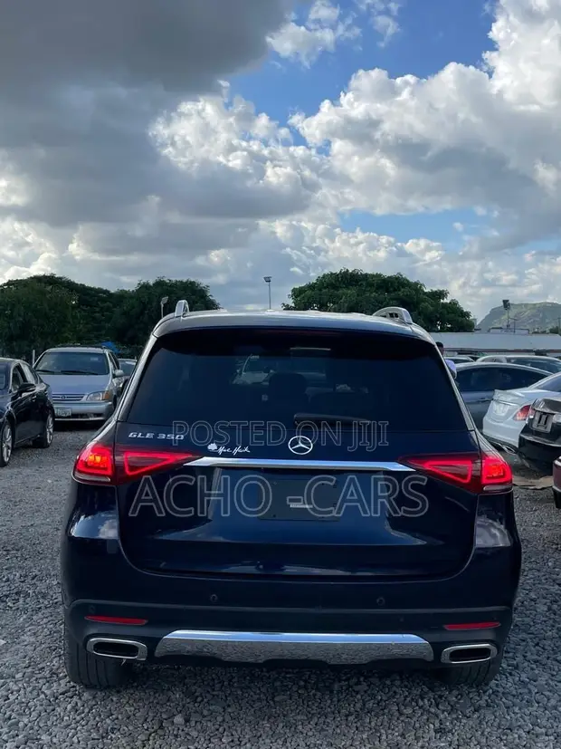 2020 Mercedes-Benz GLE 350 Blue - 1