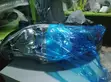 Toyota Corolla Headlight (2010-2012) - 1